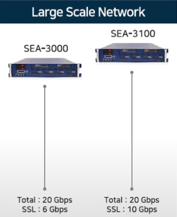 large scale network