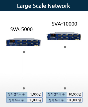 large scale network