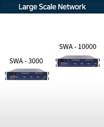 large scale network